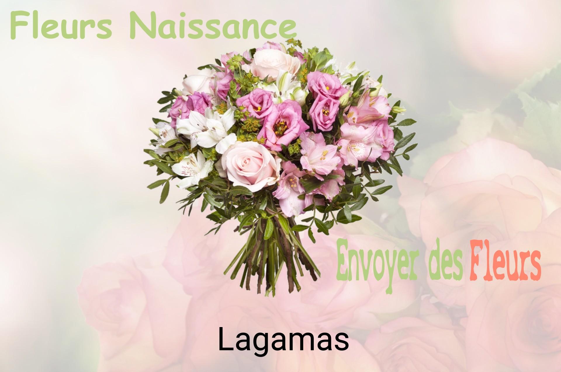 Bouquet de fleurs de naissance livré à Lagamas